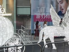 -云海肴·汽锅鸡·云南菜(高德置地店)