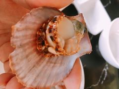 -大锅强·蒸海鲜青岛菜(吾悦广场店)