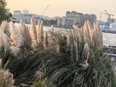 -上海山野camping·户外天幕烧烤·团建拓展营地