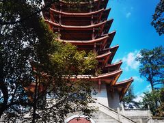 -缙云山景区
