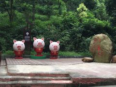 -大雁山风景区