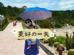 -广东惠东海龟国家级自然保护区