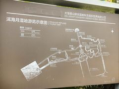 -洱海月湿地公园