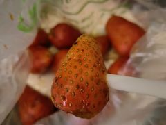 草莓-雪儿钱局泡菜