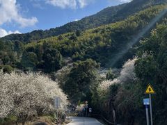 -广州市流溪河国家森林公园