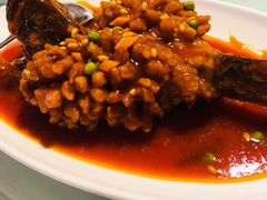 松子黑鱼-新吉士·上海菜(浦东LCM置汇旭辉店)