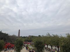 -广州莲花山旅游区