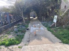-惠山国家森林公园
