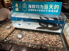 -東盛炭烤自助料理(玄武招商花园城店)