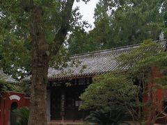 -子昂故里文化旅游区