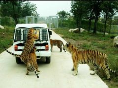 -西安秦岭野生动物园
