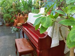 -北马山庄植趣咖啡