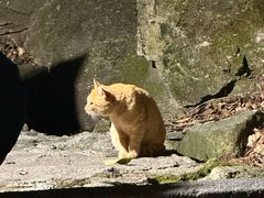 -萍乡武功山风景名胜区