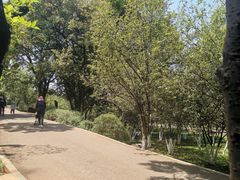 -昆明动物园
