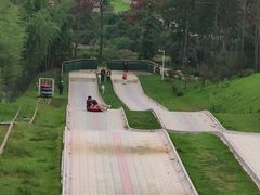 -黄陂区野村谷景区