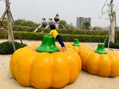 -恒大世纪梦幻城