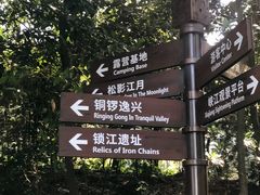 -铁山坪森林公园