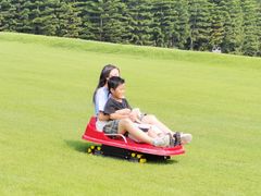 -迪茵湖田家舍生态农场