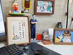 -北京观赏动物医院·24小时大型综合·猫专科·异宠专科