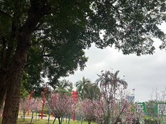 -观澜湖生态运动公社