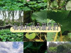 -高子水居