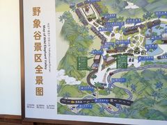 -野象谷景区