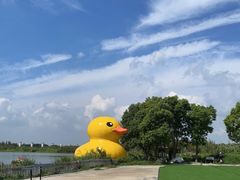 -动邦皮划艇·桨板·独木舟·团建户外运动俱乐部