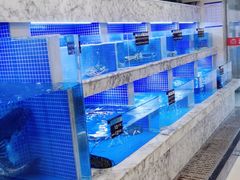 -香山湖渔家大院