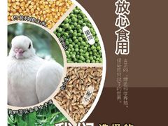 -吧嘚嘴炭烧鸽串吧(北海街店)