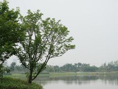 -九龙湖公园