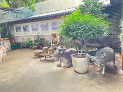 -周大娘牛乳(旧寨古村总店)