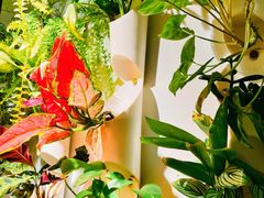 -懒人盐府人家(航天桥店)