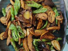 -蘑统田下·野生菌火锅