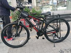 -道路口单车爱瓦士dahon大行