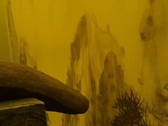 -大桶水·全国旗舰店(体育路店)