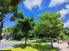 -四海公园(南山区)