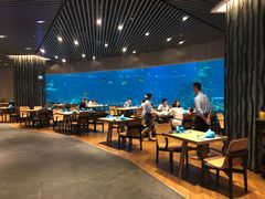 -海棠湾洲际-涛·海底餐厅·美人鱼·自助餐·海底隧道