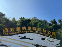 -西双版纳原始森林公园