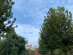 -四川大学(望江校区)