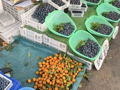 -南坛综合农贸市场