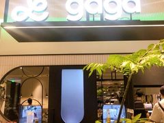 -gaga(深圳南山益田假日广场店)