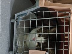 -心仪动物医院·牙专科·肿瘤·心脏科(西客站院)