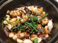 啫啫河鳗-金龙·打边炉(南京西路店)