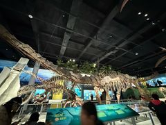 -国家自然博物馆