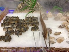 -圣罗巴海鲜自助(黑金店)