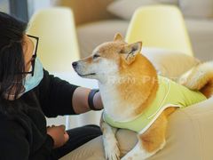 -怪兽屋·羊驼·猫咖·狗咖(俊华广场店)