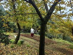 -西岭雪山大飞水景区