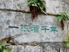 -红小姐咖啡馆(西津渡店)