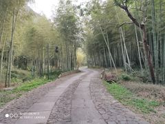 -黄公望隐居地