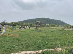 -苏州太湖西山岛开心农场